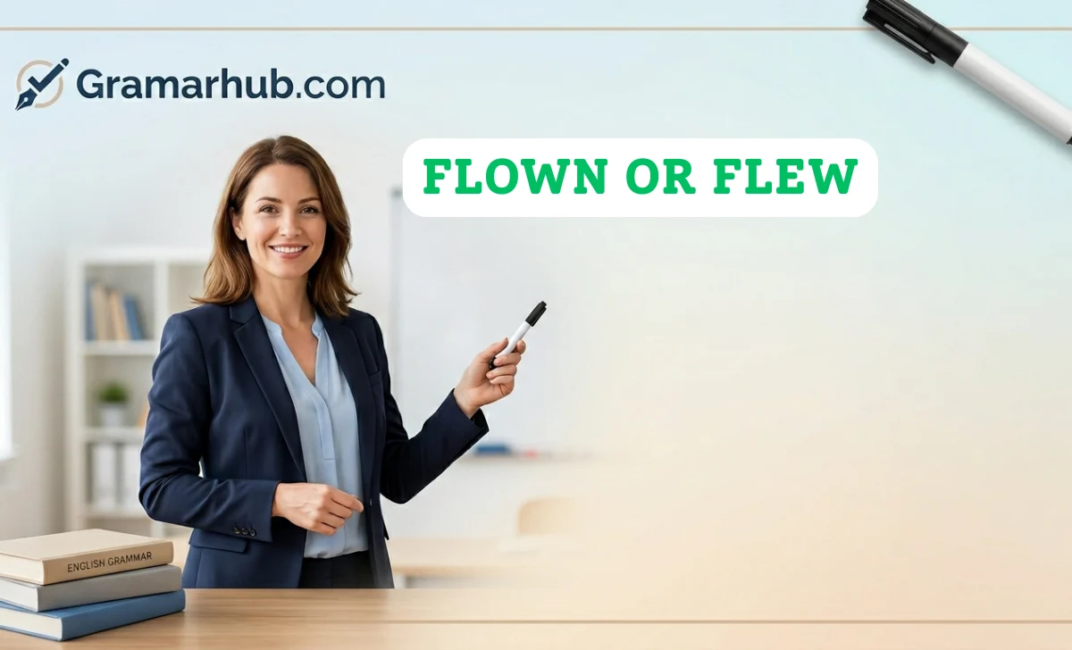 flown or flew