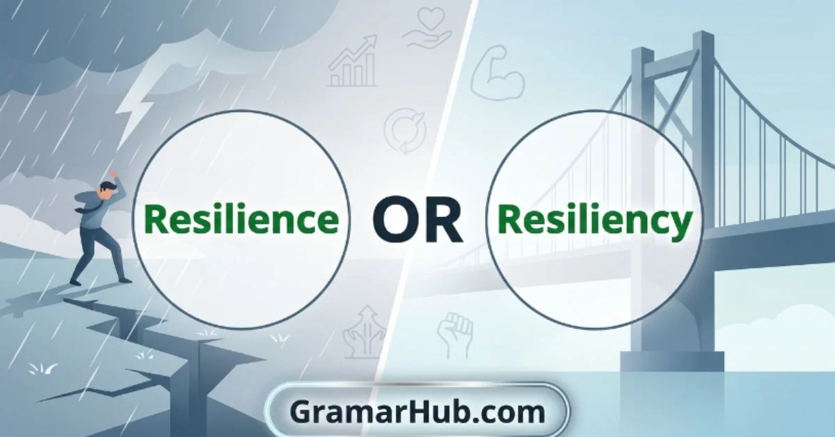 Resilience or Resiliency